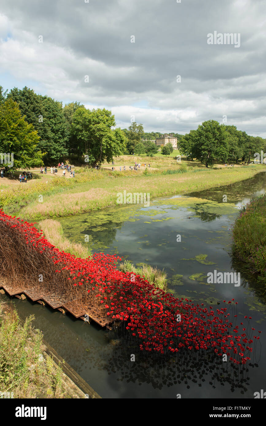 Ceramic Poppies on display at the Yorkshire Sculpture Park in West Bretton, Wakefield West Yorkshire England UK Stock Photo