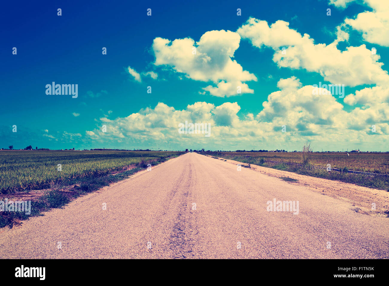 panoramic view of a lonely road in the Ebro Delta, in Catalonia, Spain, in a cloudy day, with a filter effect Stock Photo