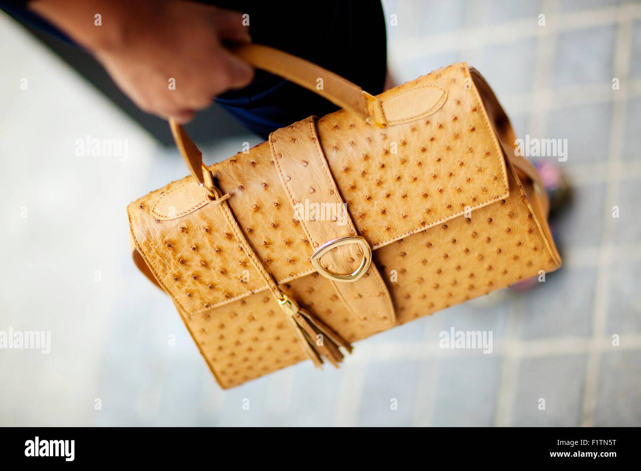 Crocodile leather bag hi-res stock photography and images - Alamy