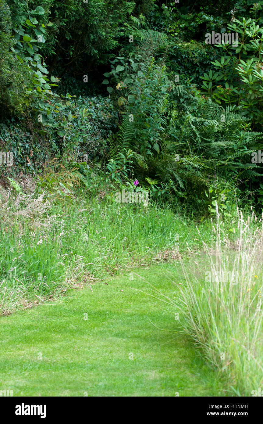 A garden path through long grass Stock Photo