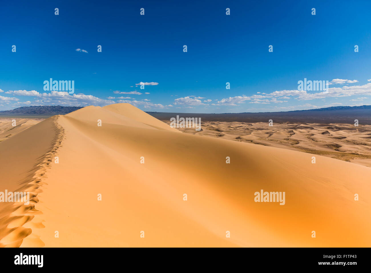 Gobi Desert Singing Sand Dunes Stock Photo