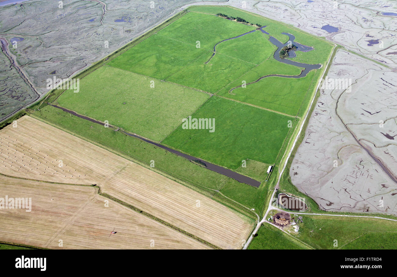 aerial view of reclaimed farm land in the Ribble Estuary at Hutton, Lancashire, UK Stock Photo