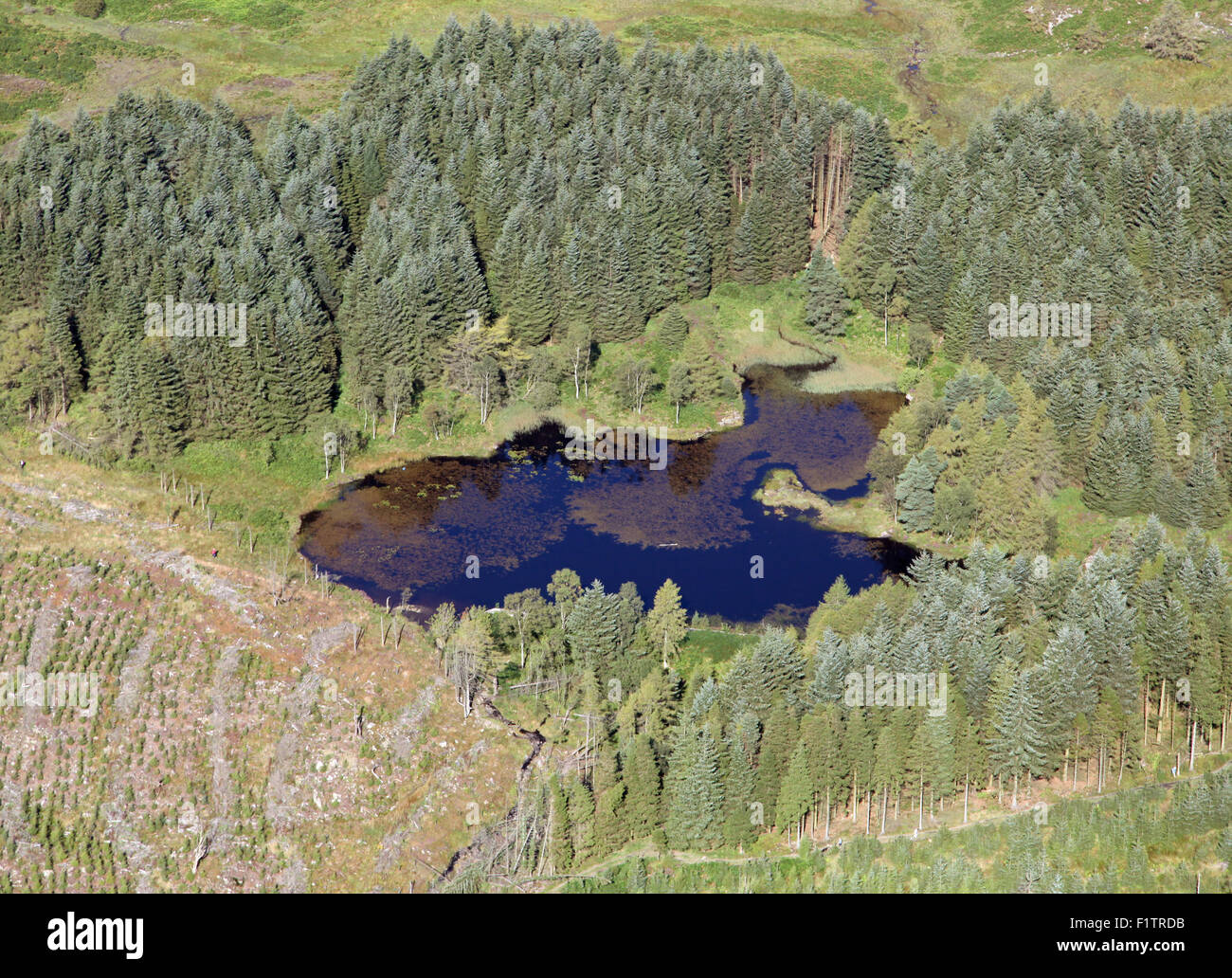 aerial view of a small tarn in the South Lakes area of Cumbria, near Cartmel, UK Stock Photo