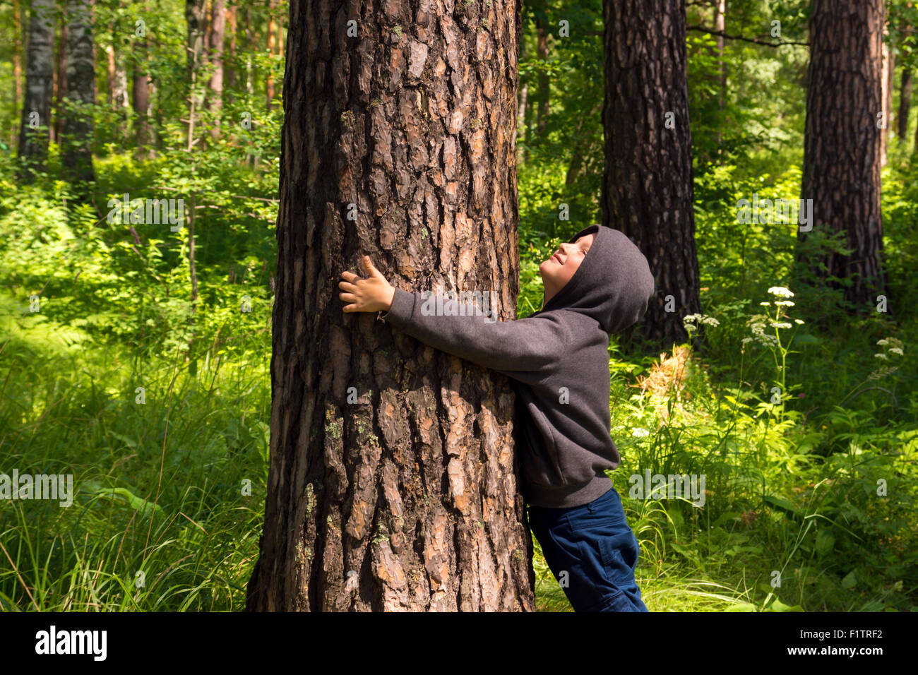 Child hugging tree hi-res stock photography and images - Alamy