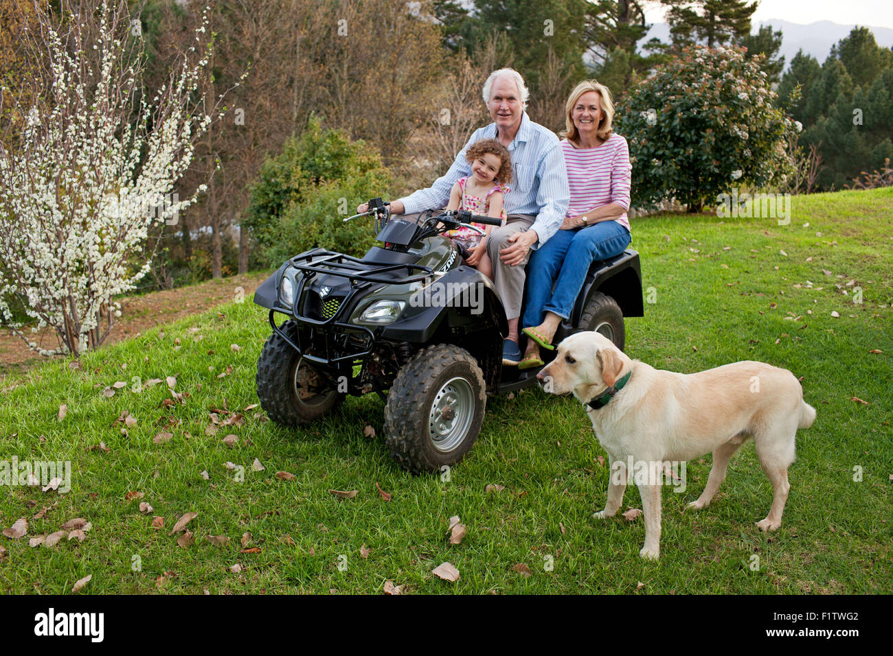 Grandfather, grandmother and granddaughter on quadbike and Labrador dog Stock Photo