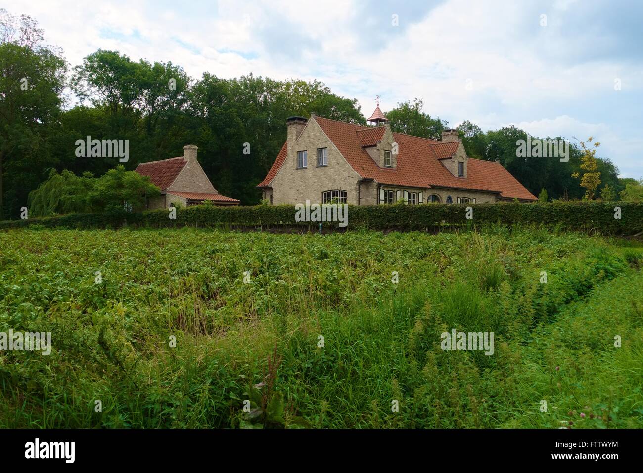 Field with large house Stock Photo