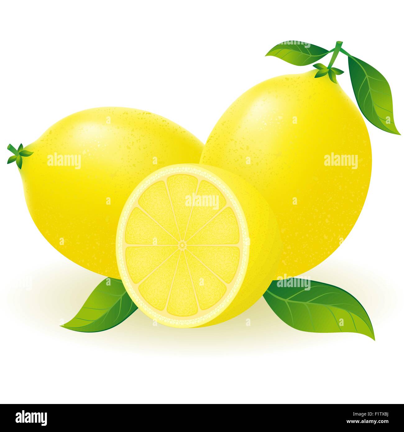 lemon vector illustration isolated on white background Stock Vector ...