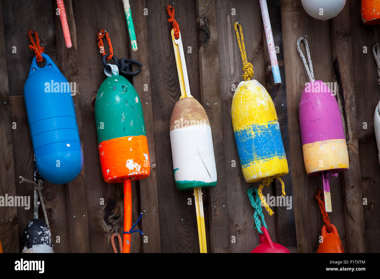 Lobster trap buoys in a New England harbor in Maine, USA Stock Photo