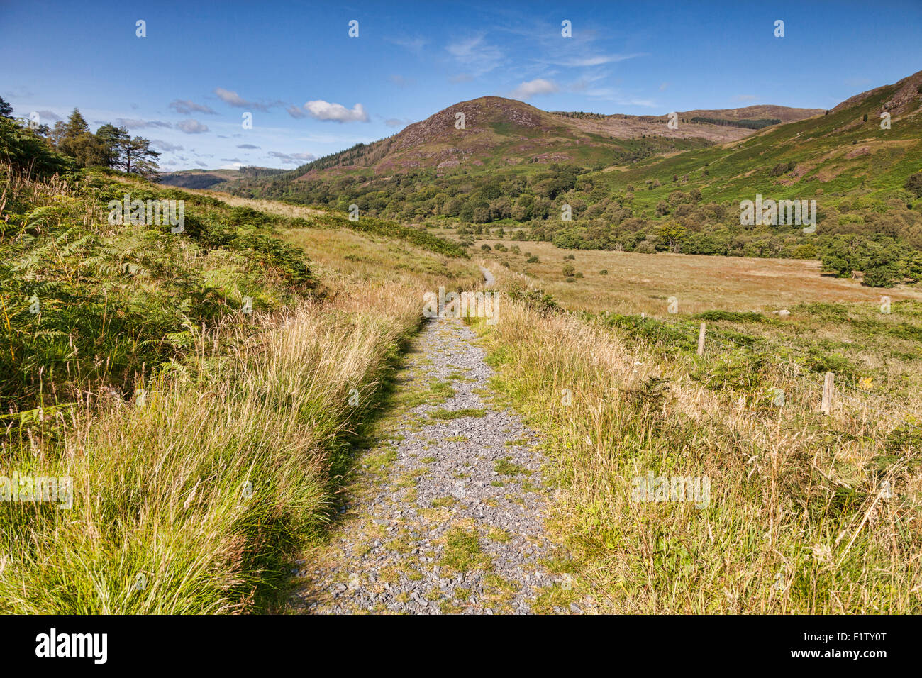 The Southern Uplands Way as it runs through the Galloway Hills in Glentrool, Dumfries and Galloway, Scotland, UK Stock Photo