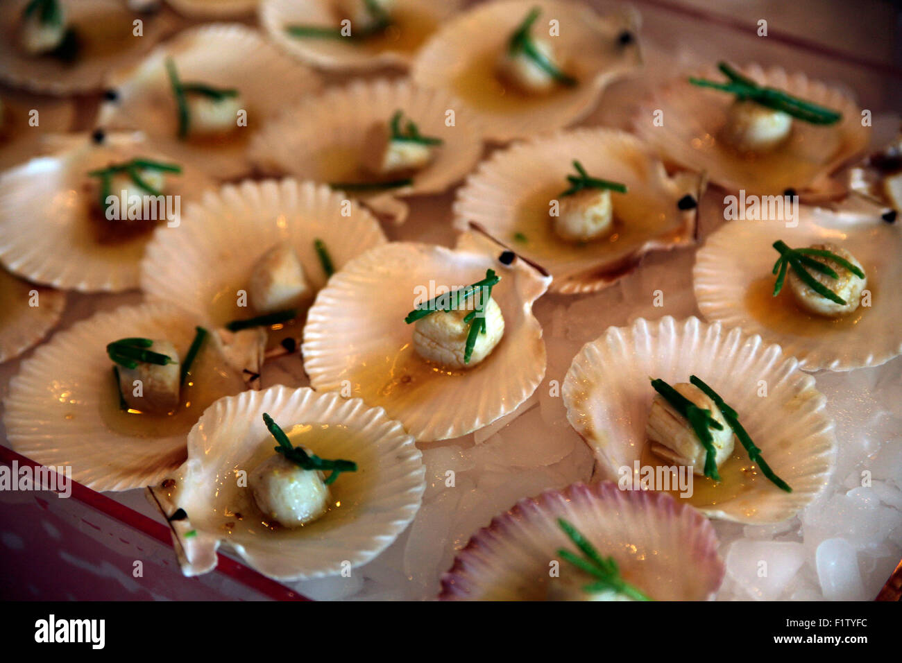 Delicatessen tapas of scallop shells. Stock Photo