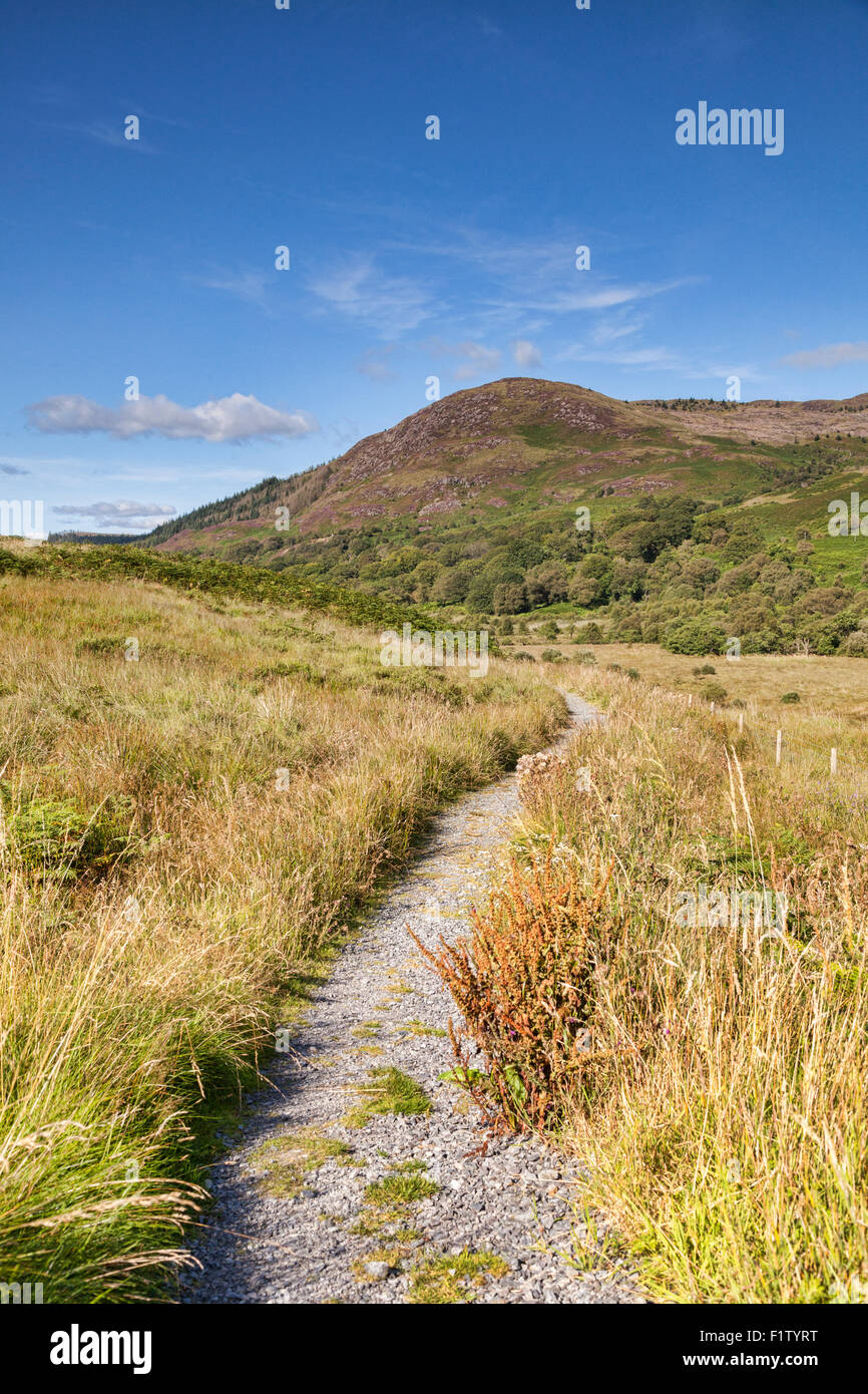 The Southern Uplands Way as it runs through the Galloway Hills in Glentrool, Dumfries and Galloway, Scotland. Stock Photo