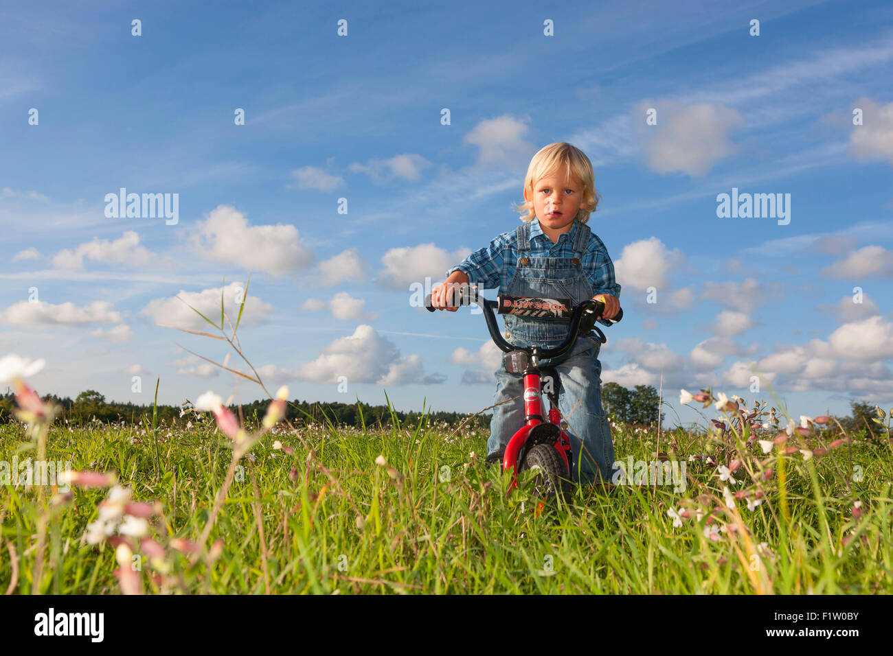 young blond boy on a bicycle in a summer meadow, gotland, sweden, model release Stock Photo