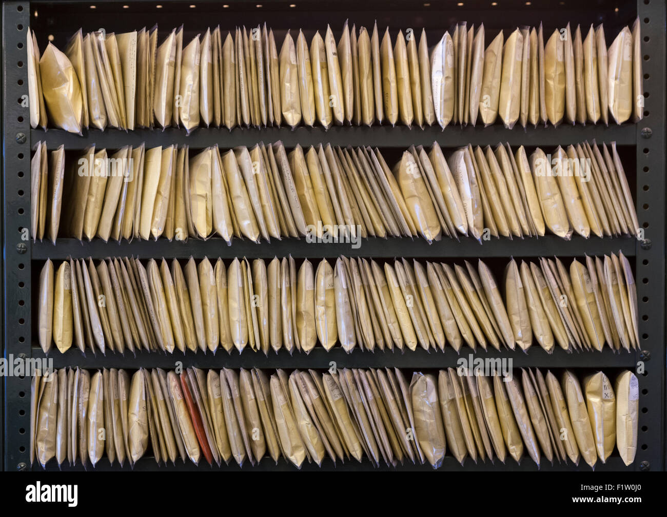Envelopes in rows on shelves demonstrating an obsolete filing system Stock Photo