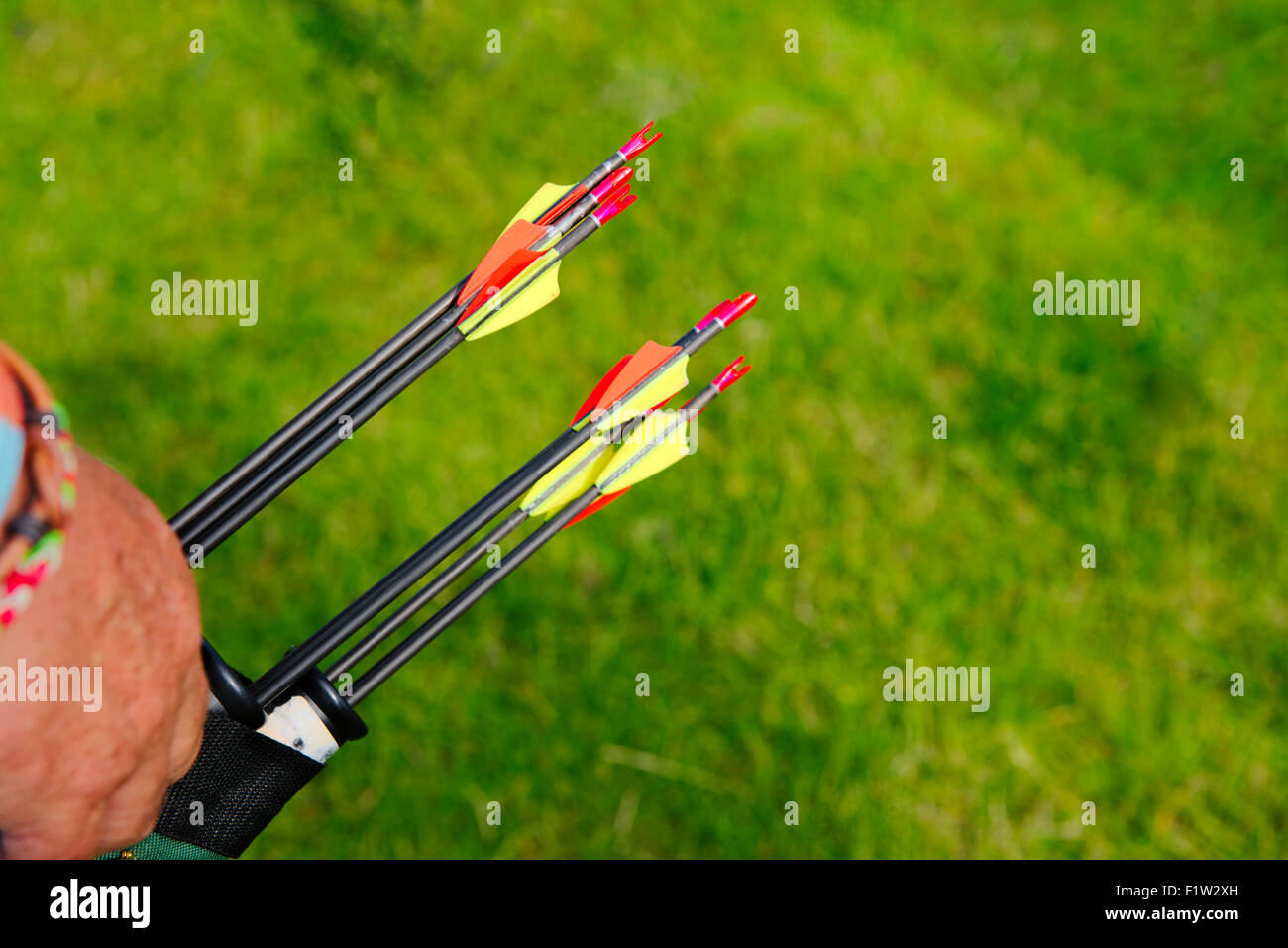 quiver of arrows quiver of arrows