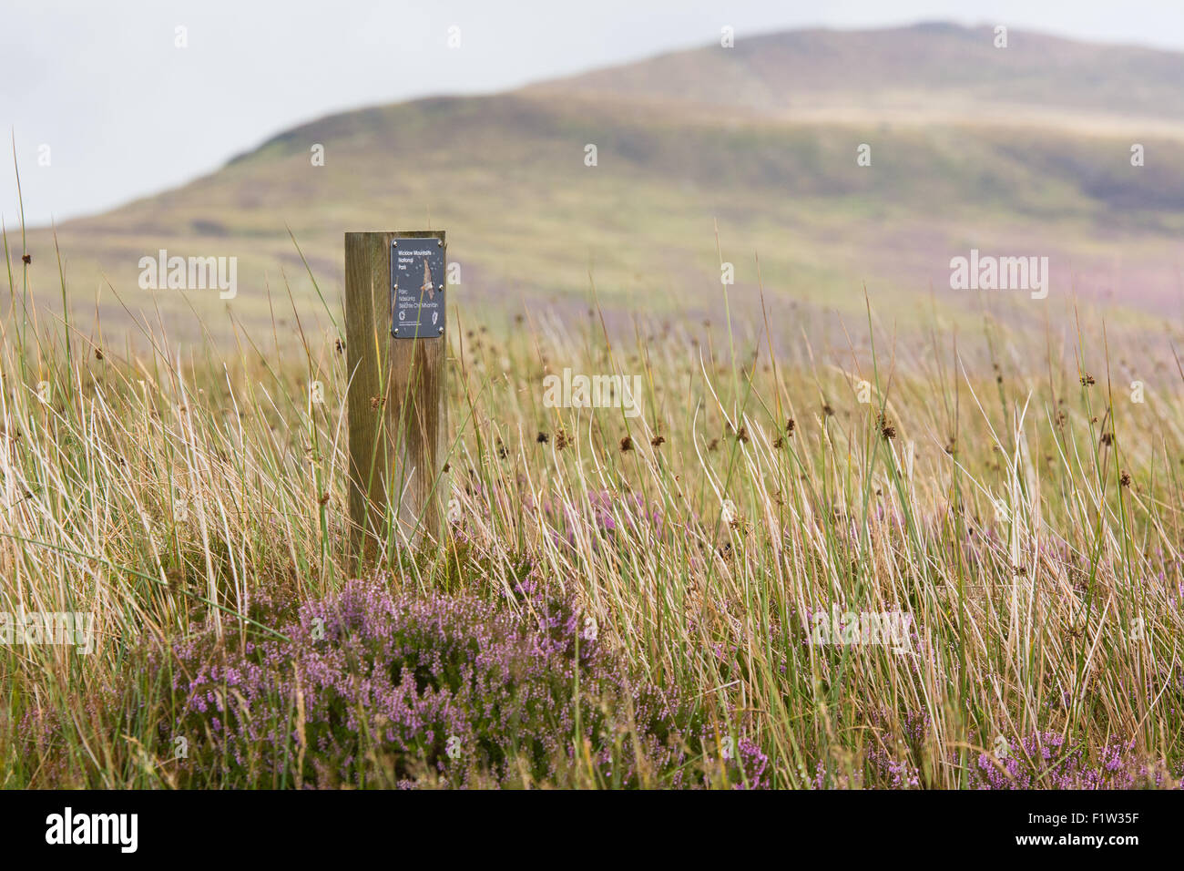 Wicklow Mountains National Park sign against backdrop of the Wicklow mountains Stock Photo