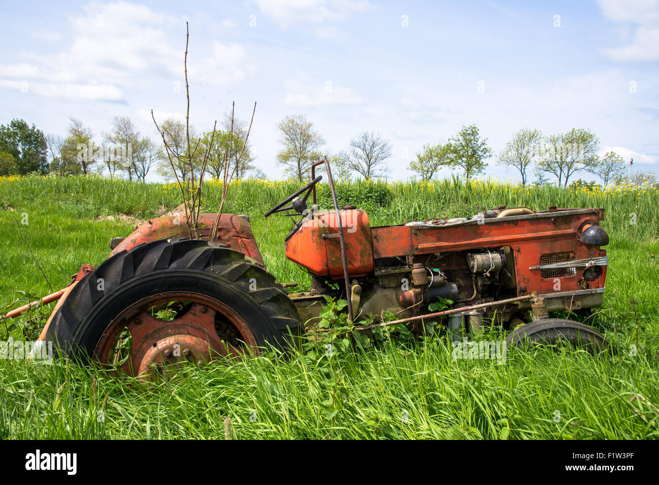 old red and rusted tractor in meadow in holland Stock Photo - Alamy