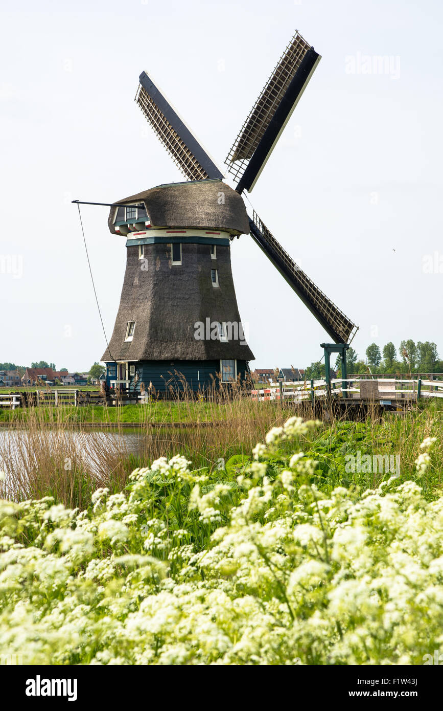 windmill woudaap in krommeniedijk in holland Stock Photo