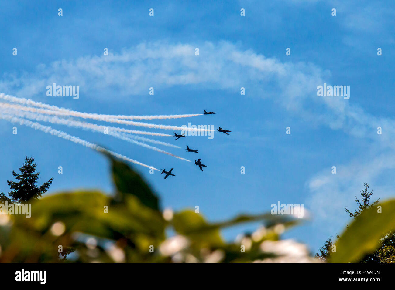 The Breitling Jet Team performing at Seattle’s 2015 Seafair Air Show. Stock Photo