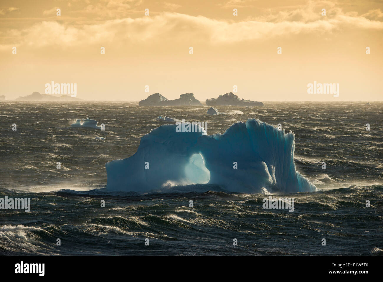 A blue iceberg in early morning light during a strong wind event in antarctica Stock Photo
