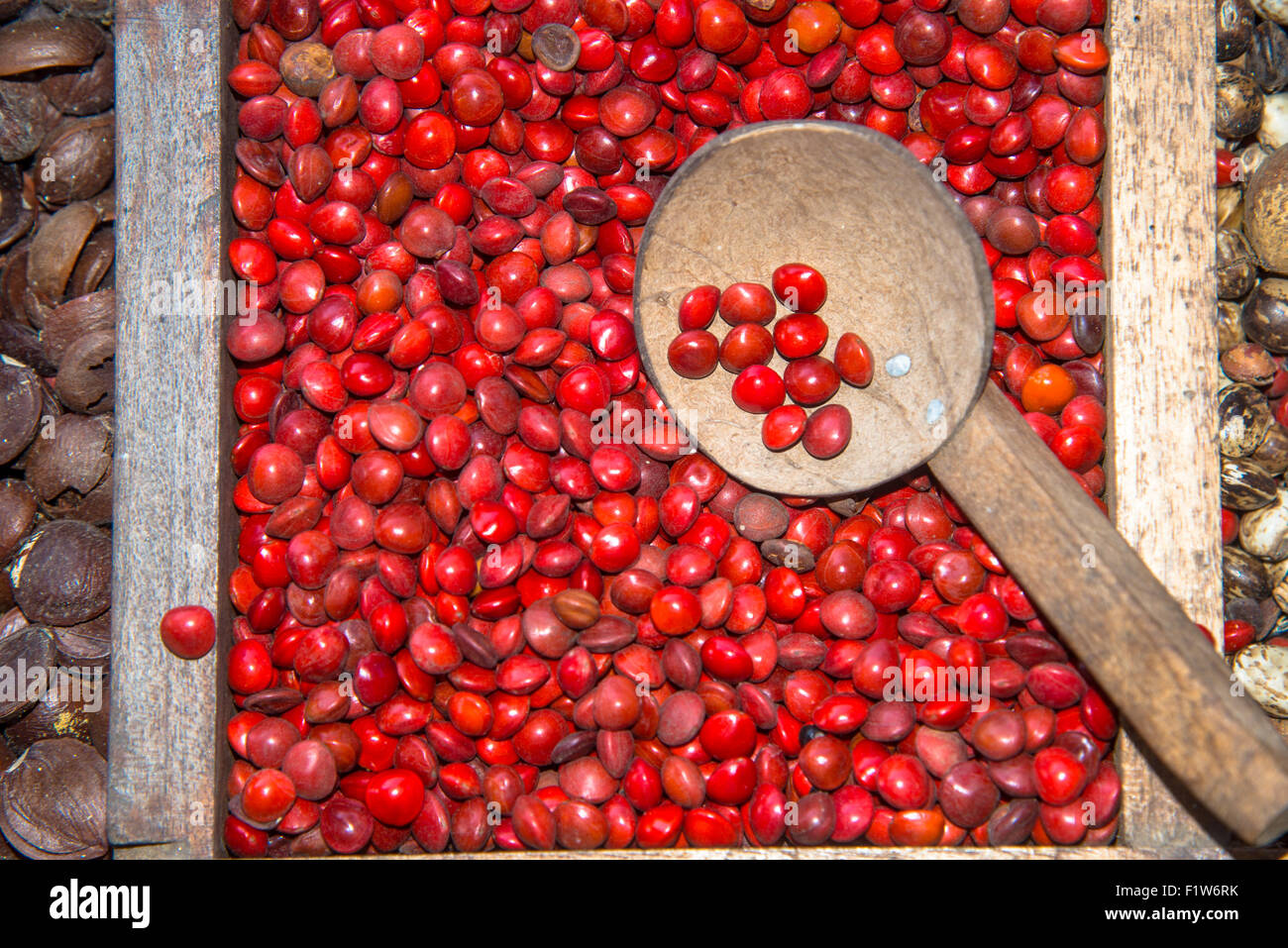 colourful seeds and herbs in wooden box in spa in sri lanka Stock Photo