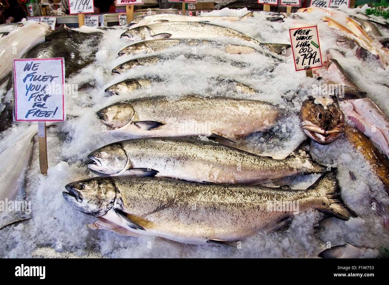 Fresh salmon for sale at a fish market Stock Photo Alamy