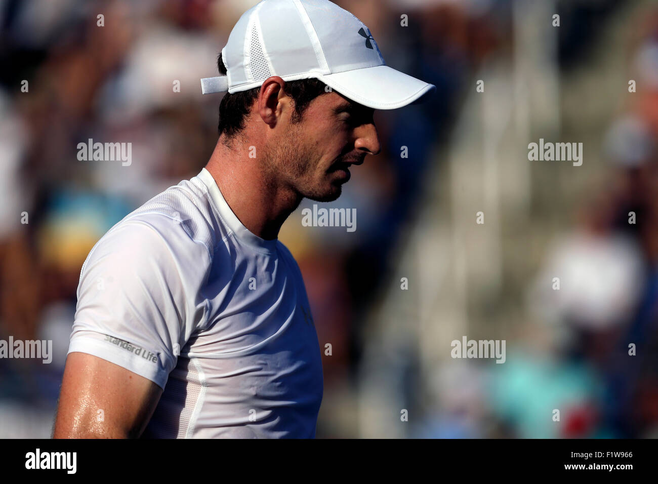 New York, USA. 7th September, 2015. Andy Murray of Great Britain during his 4th round match against Kevin Anderson of South Africa at the U.S. Open in Flushing Meadows, New York on September 7th, 2015.   Anderson won the match in four sets. Credit:  Adam Stoltman/Alamy Live News Stock Photo