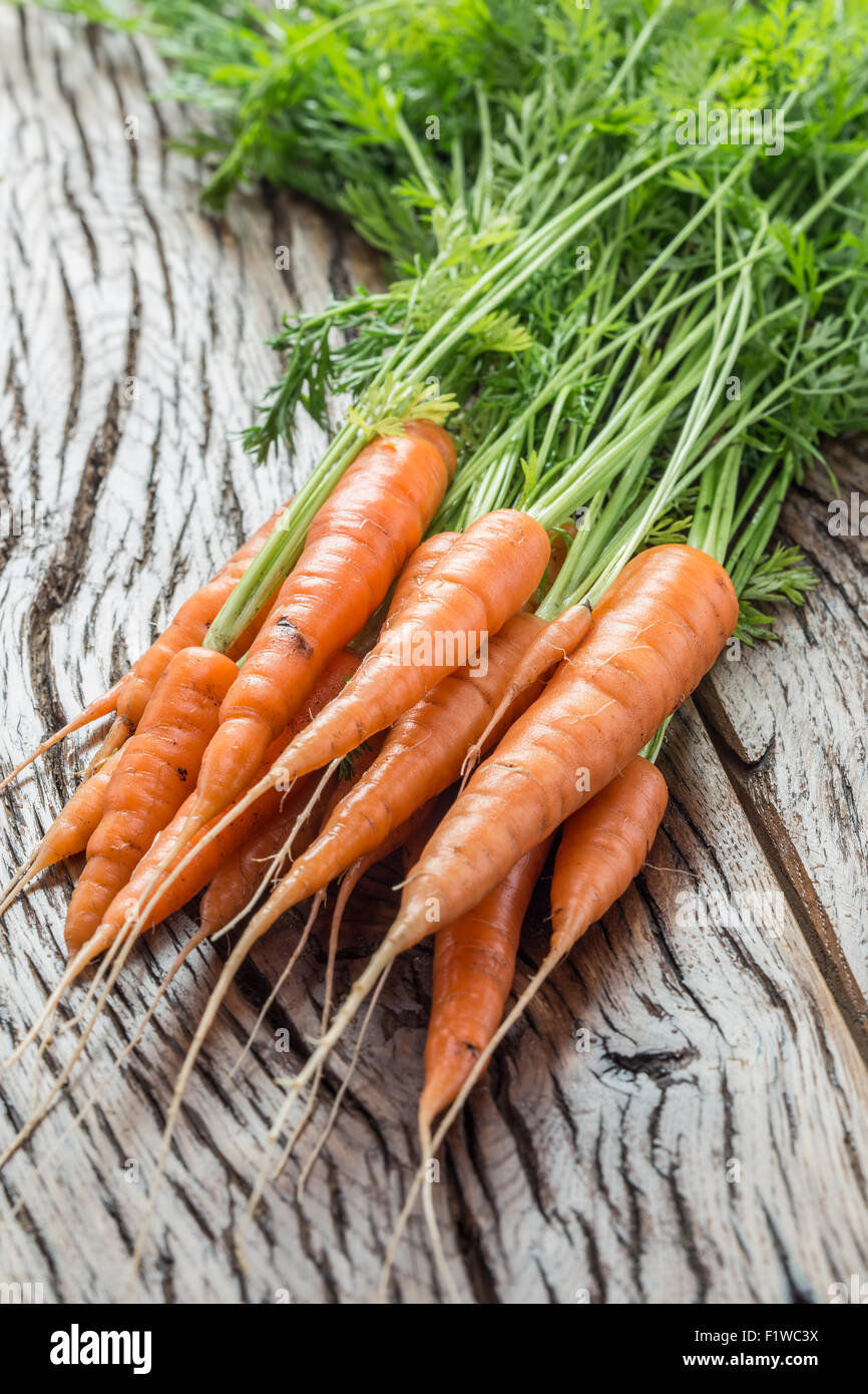 Carrots with greens on the old wooden table. Stock Photo