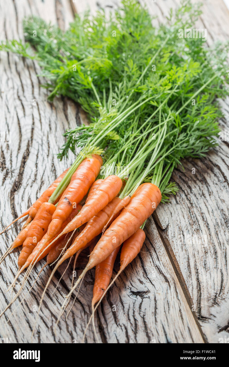 Carrots with greens on the old wooden table. Stock Photo
