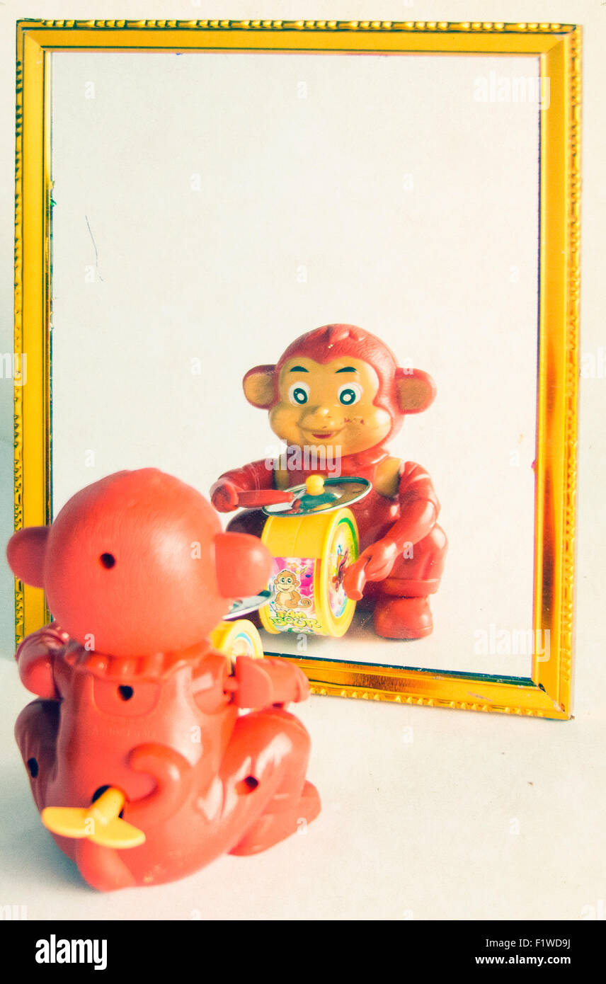 toy monkey playing in the mirror Stock Photo Alamy