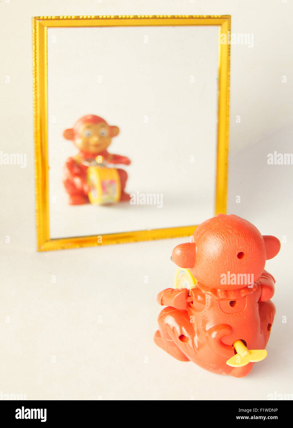 toy monkey playing in the mirror Stock Photo Alamy