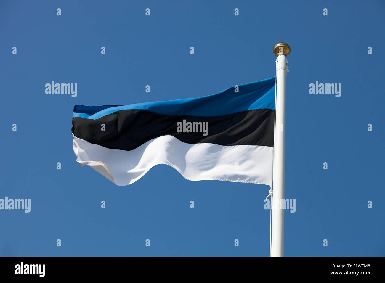 Estonia flag flying in the wind, deep blue sky Stock Photo - Alamy