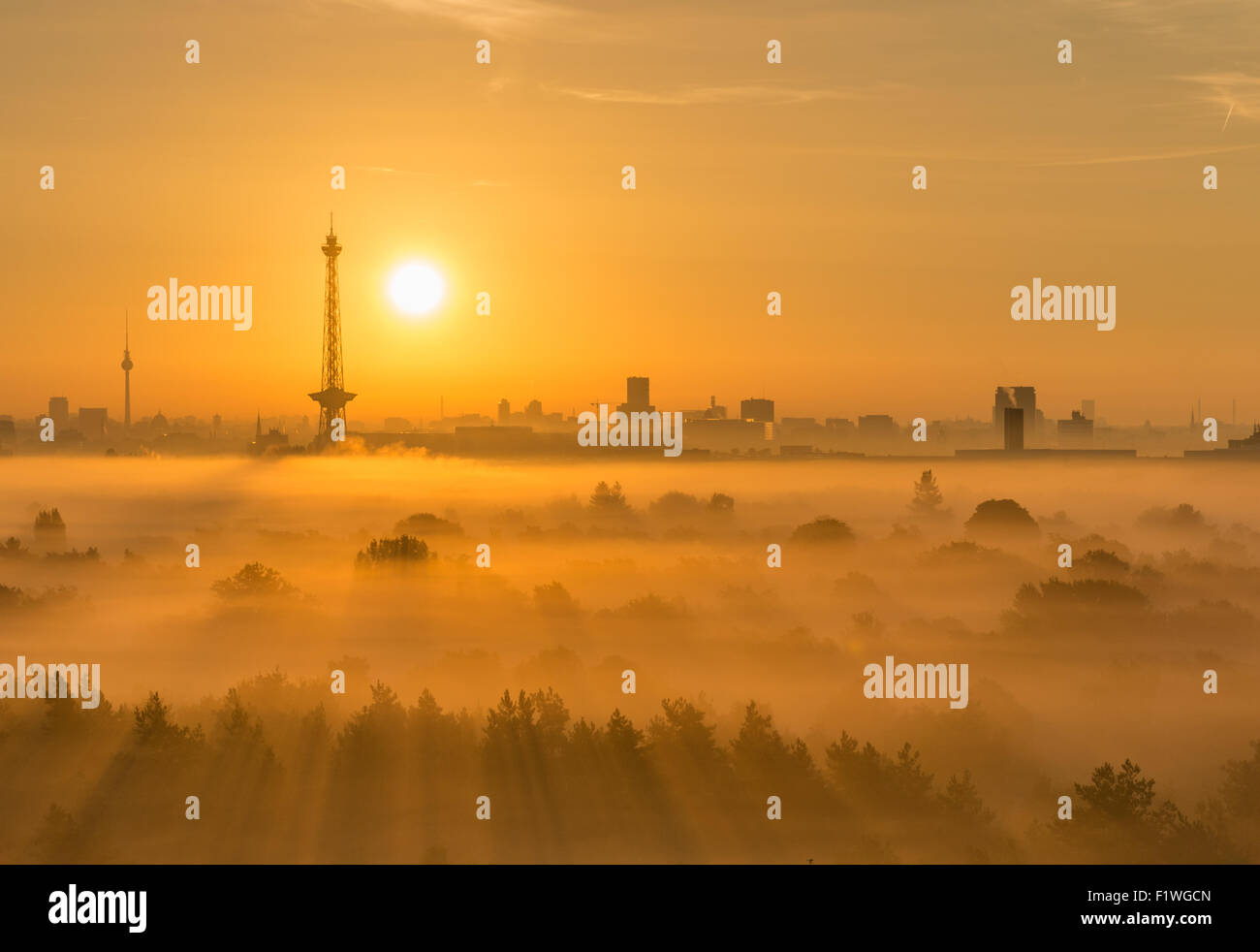 Sonnenaufgang in Berlin vom Teufelsberg gesehen Stock Photo