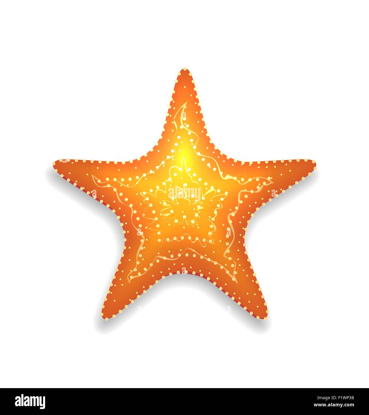 Orange starfish with shadow isolated on white background Stock Vector ...