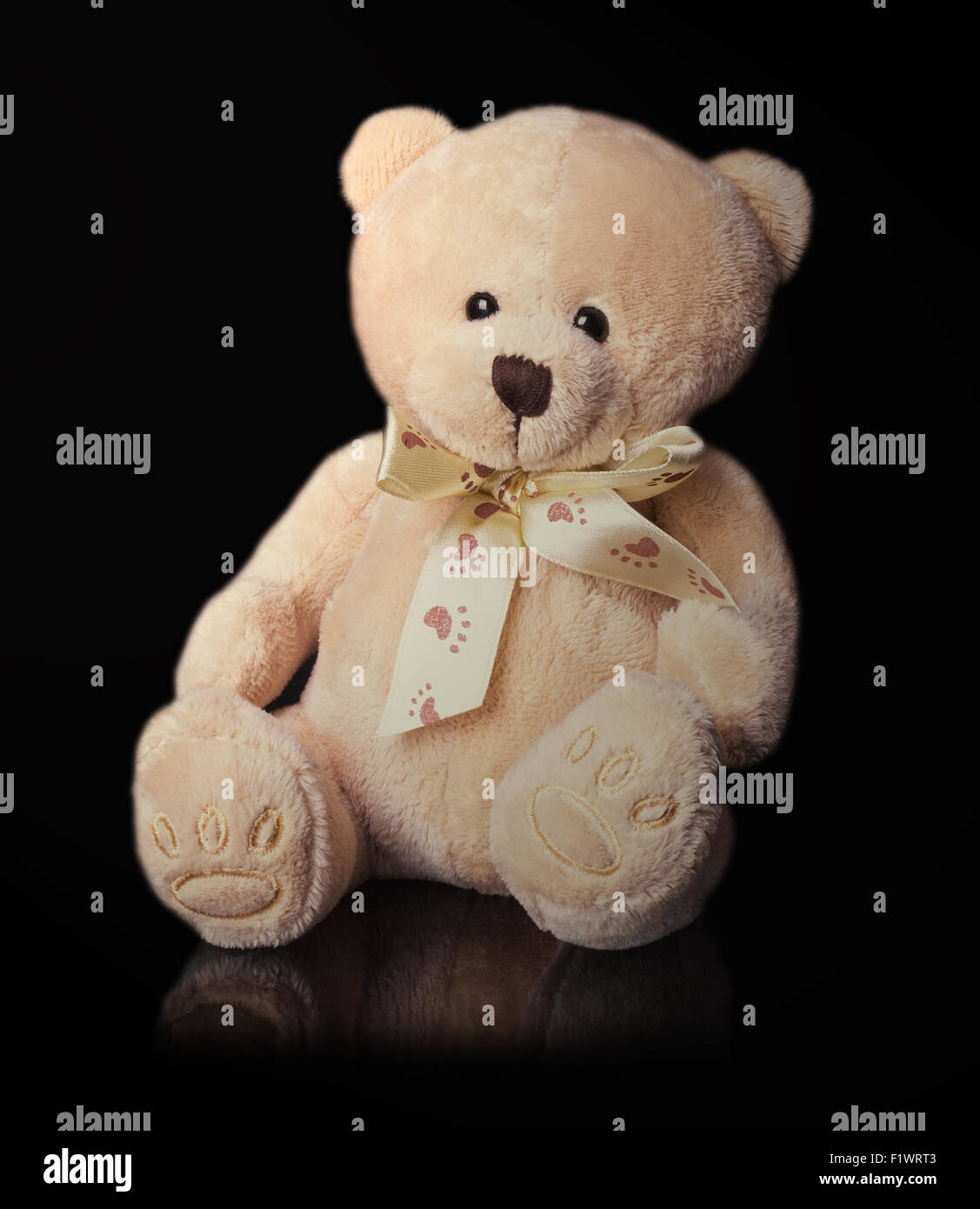 teddy bear toy on the black background. Stock Photo