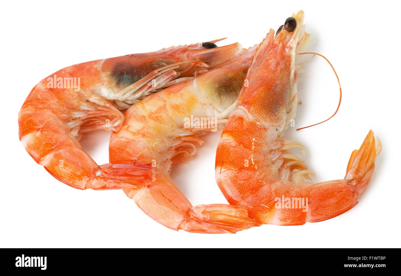 shrimps isolated on the white background. Stock Photo