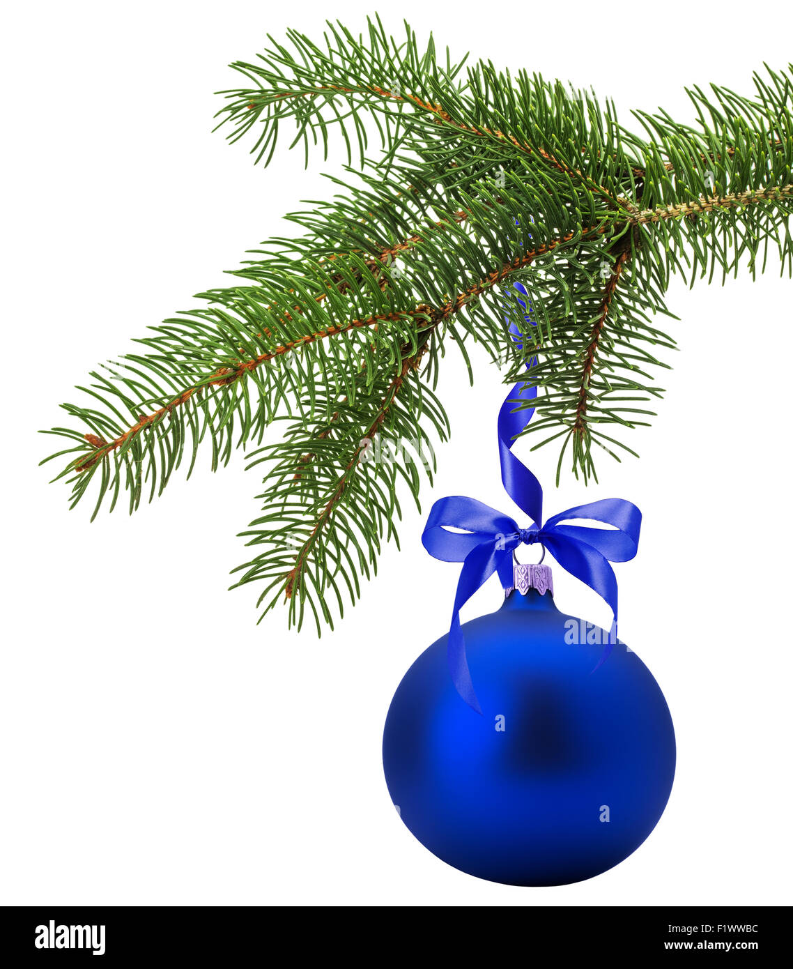 Christmas tree branch with blue ball isolated on the white background. Stock Photo