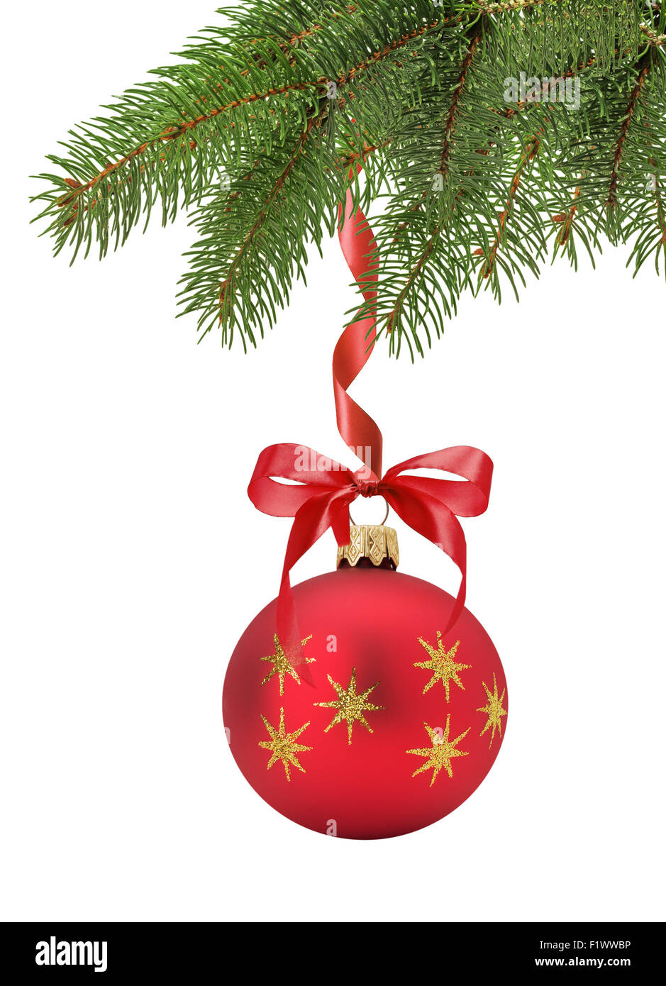 Christmas tree branch with red ball isolated on the white background. Stock Photo