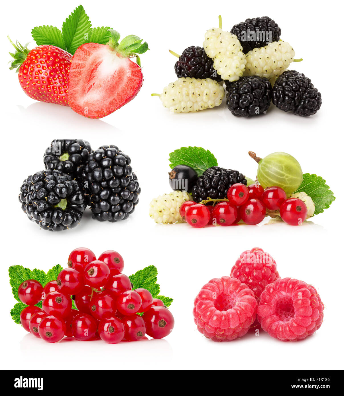 collection of berries isolated on a white background. Stock Photo