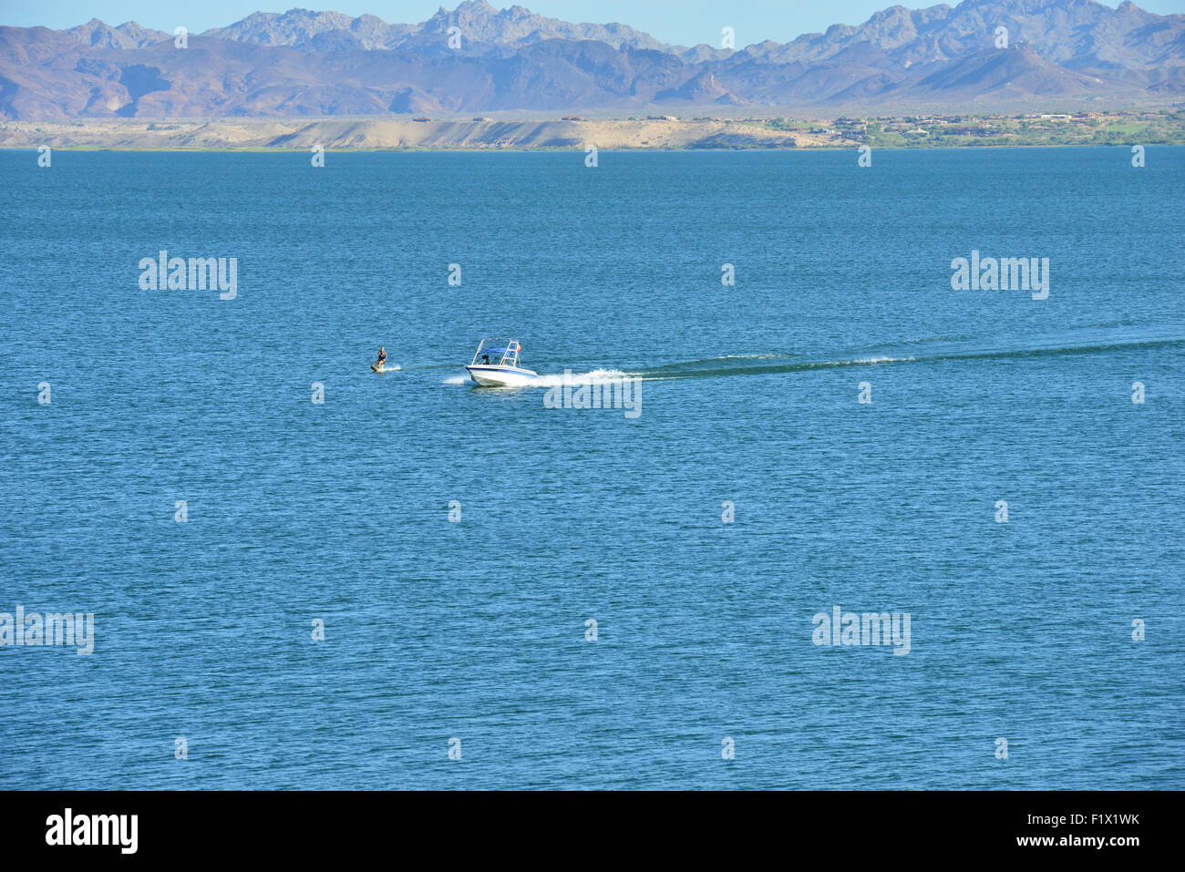A Lady water skiing on Lake Havasu in Arizona Stock Photo Alamy