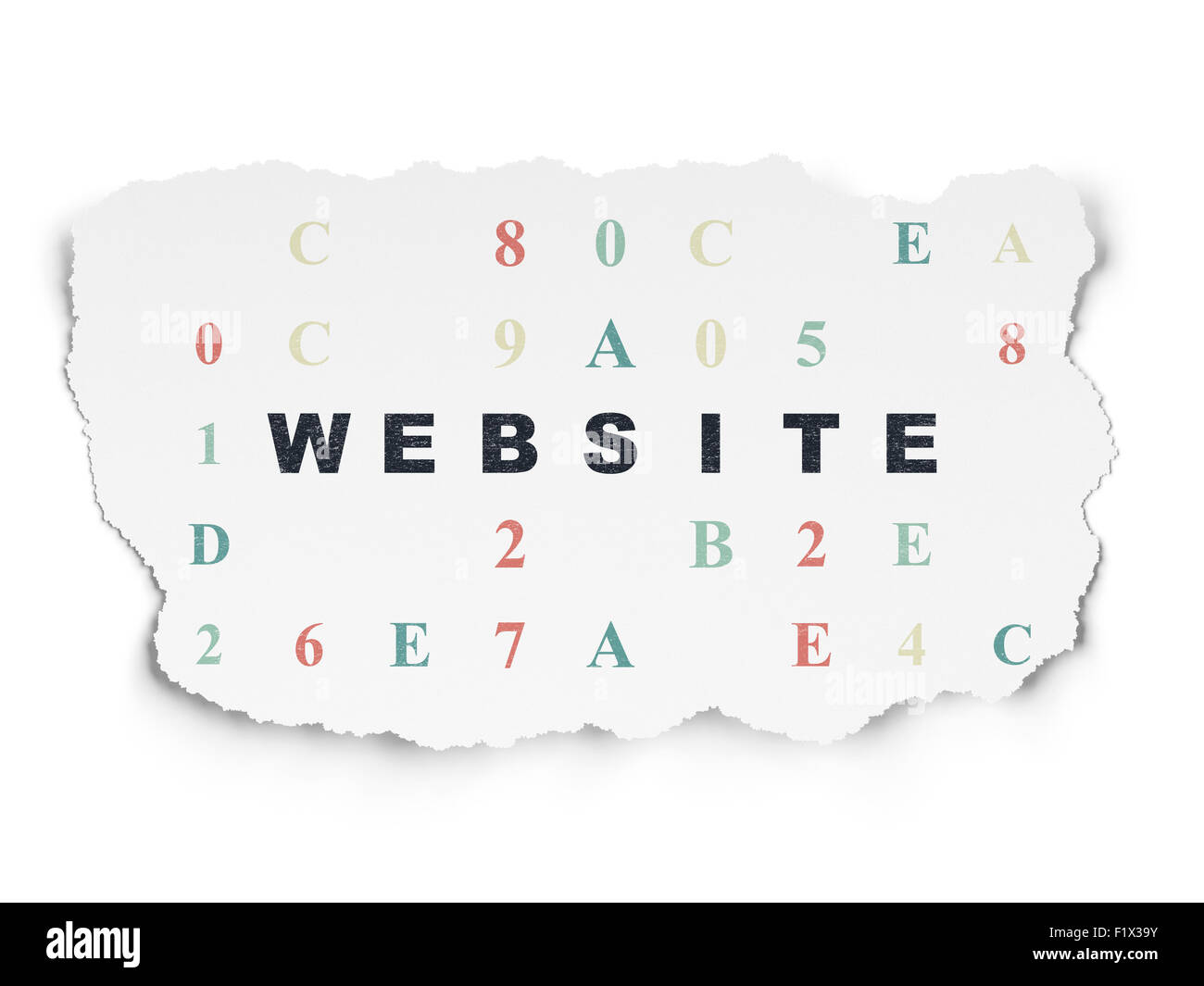 Web development concept: Website on Torn Paper background Stock Photo