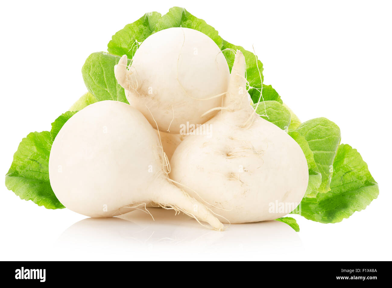 white radish isolated on the white background. Stock Photo