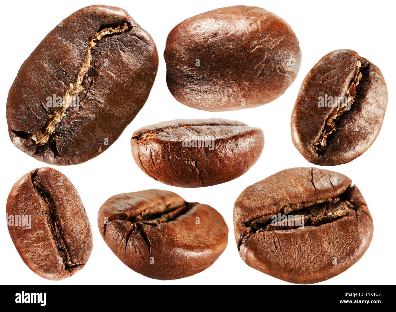 collection of coffee beans isolated on the white background Stock Photo ...