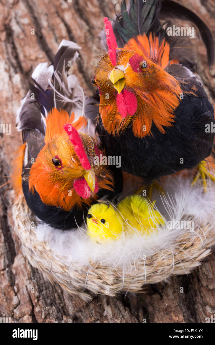 artificial chicken family. Stock Photo