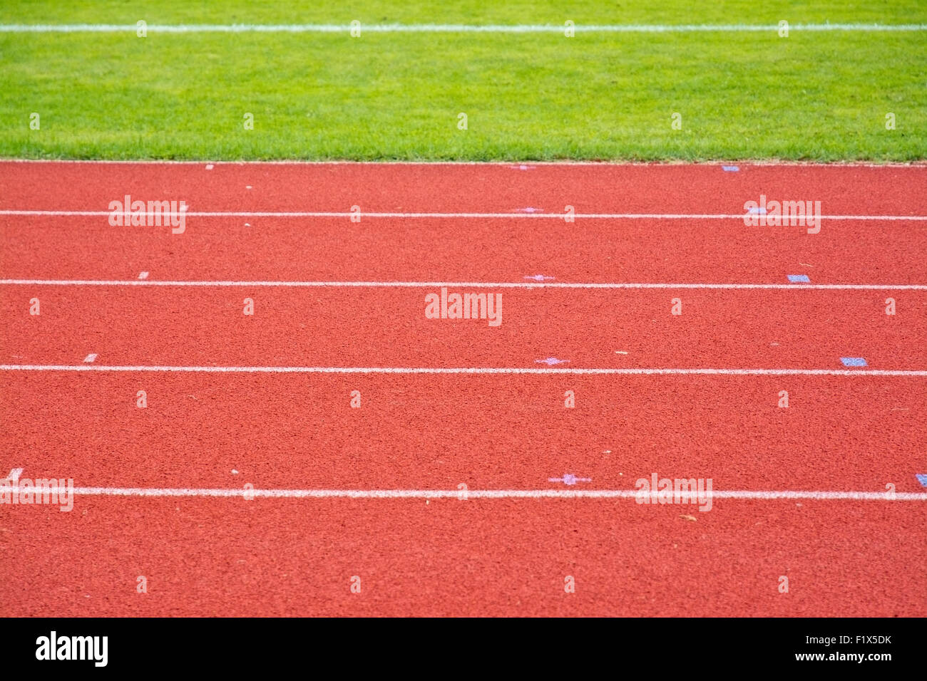 Red Tracking Field For Running Competition Background Stock Photo