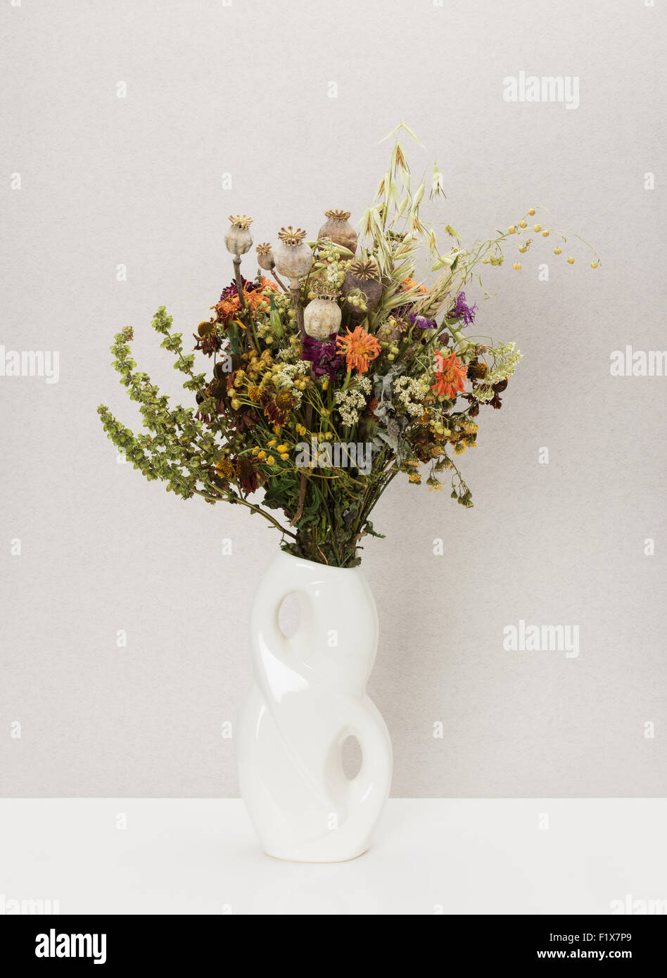 Dried flowers in porcelain vase. Stock Photo