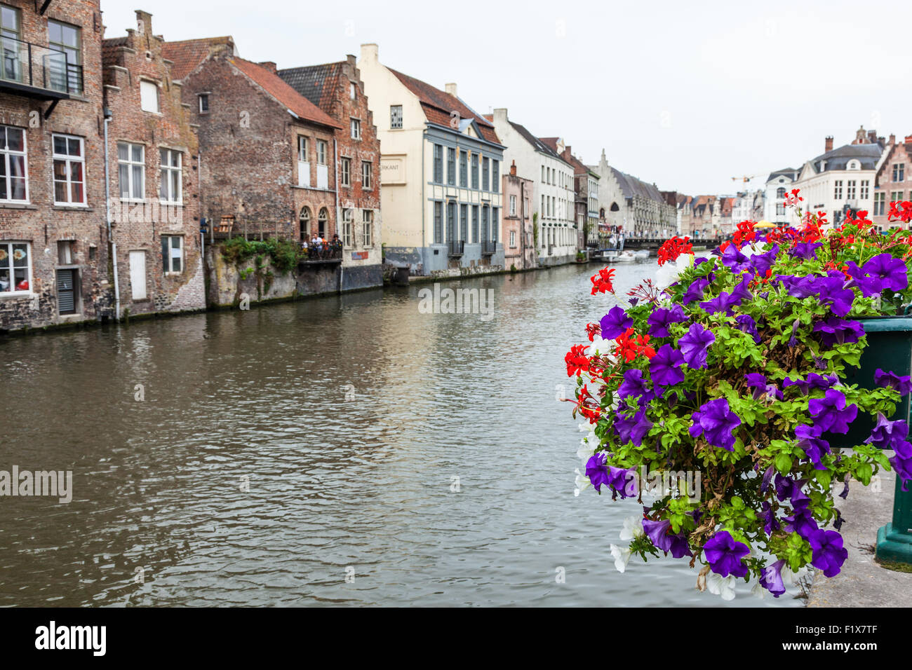 Flowers in the city of Ghent, Belgium Stock Photo Alamy