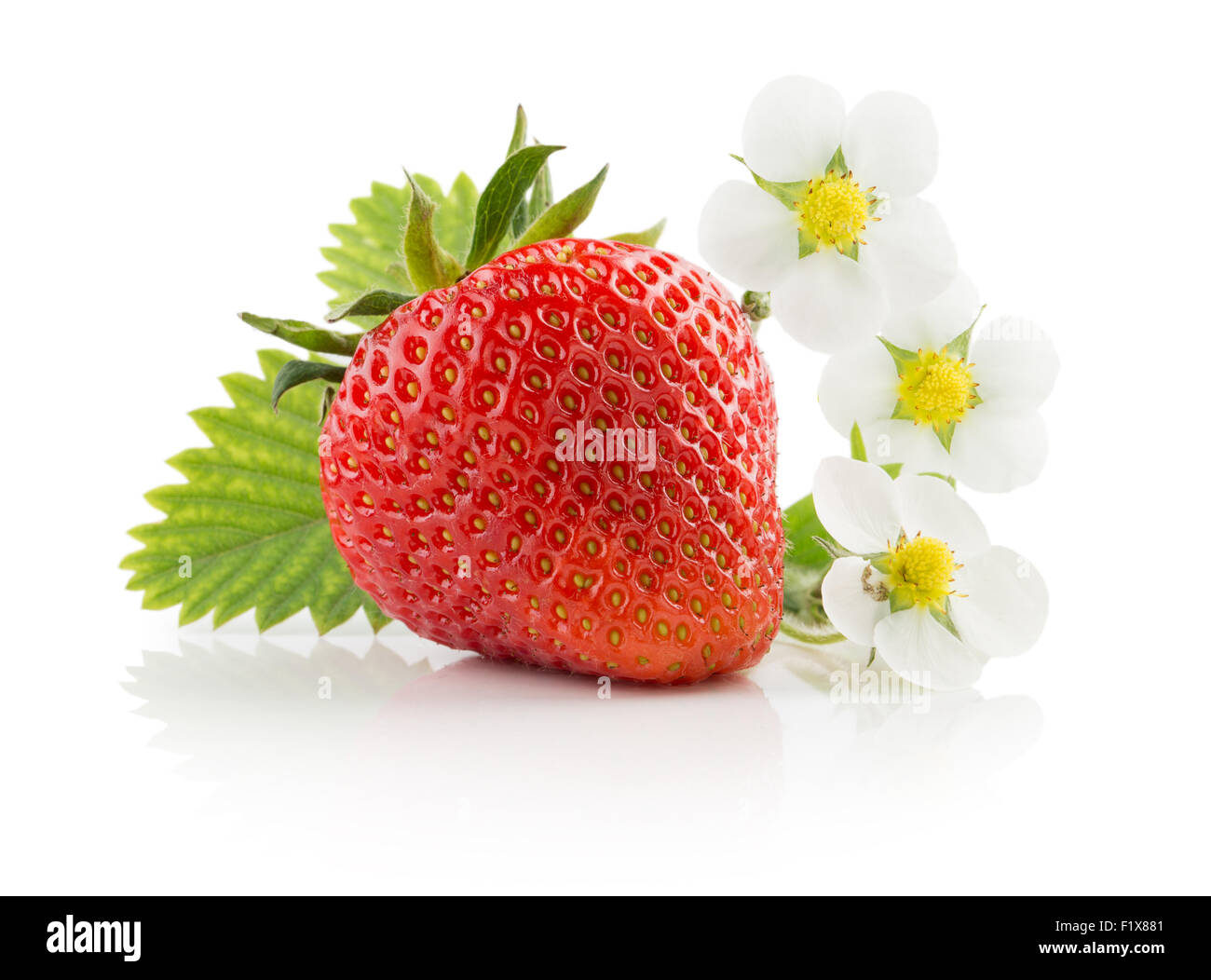 strawberry isolated on the white background Stock Photo - Alamy