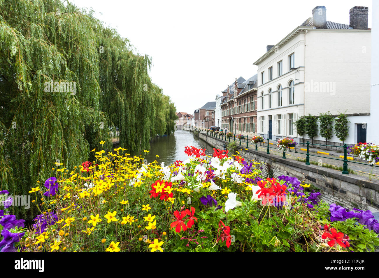 Flowers at the river in Ghent, Belgium Stock Photo Alamy