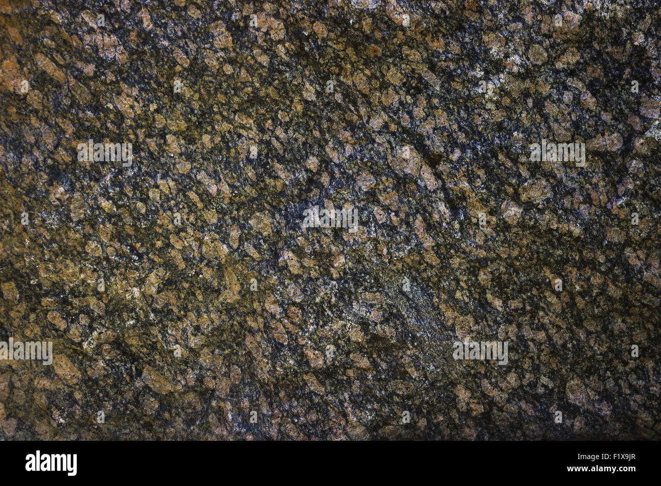 greywall texture or background. Stock Photo