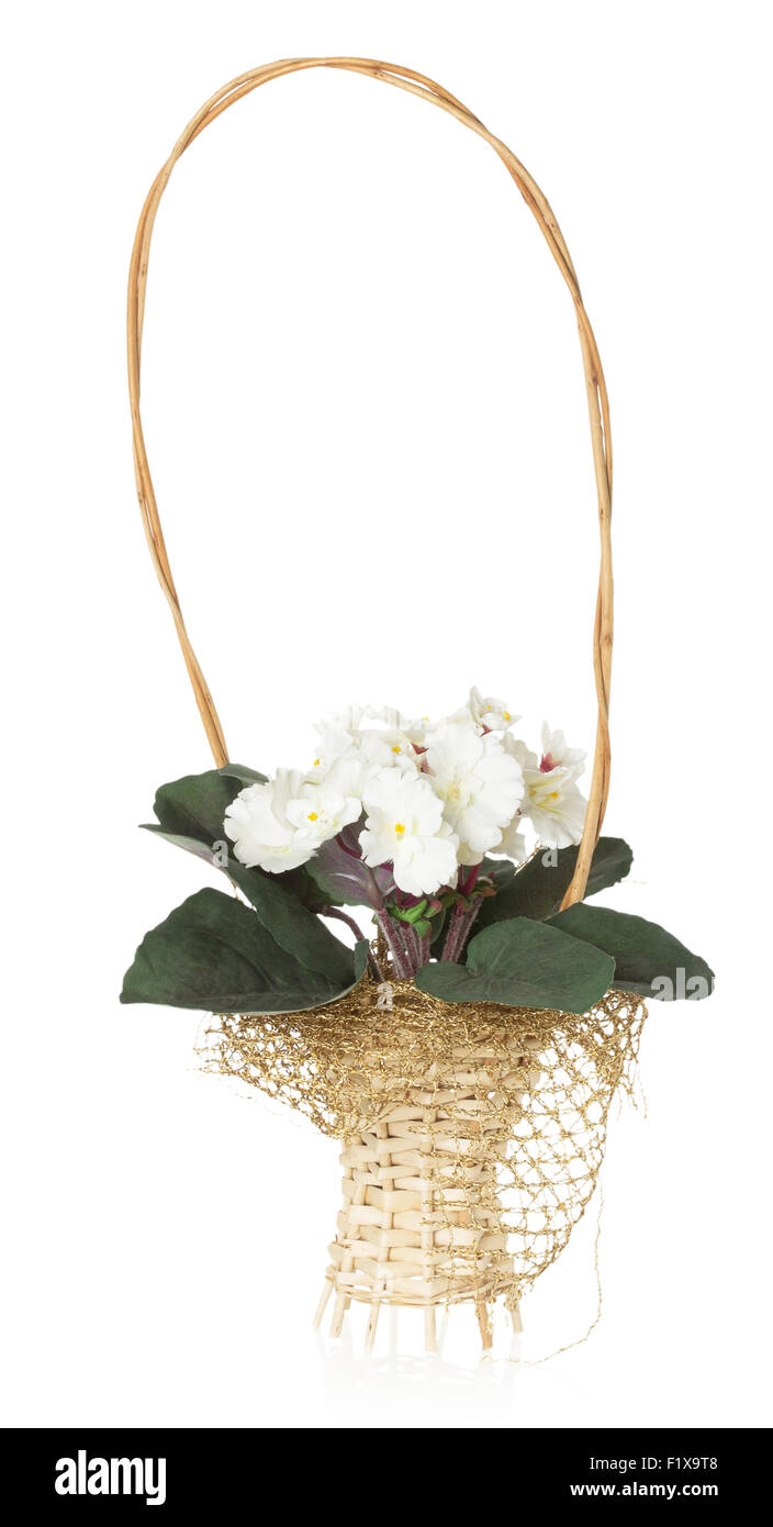 basket of flowers on a white background. Stock Photo